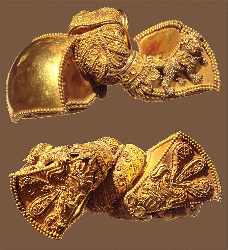 Andhra Pradesh Royal Hearings